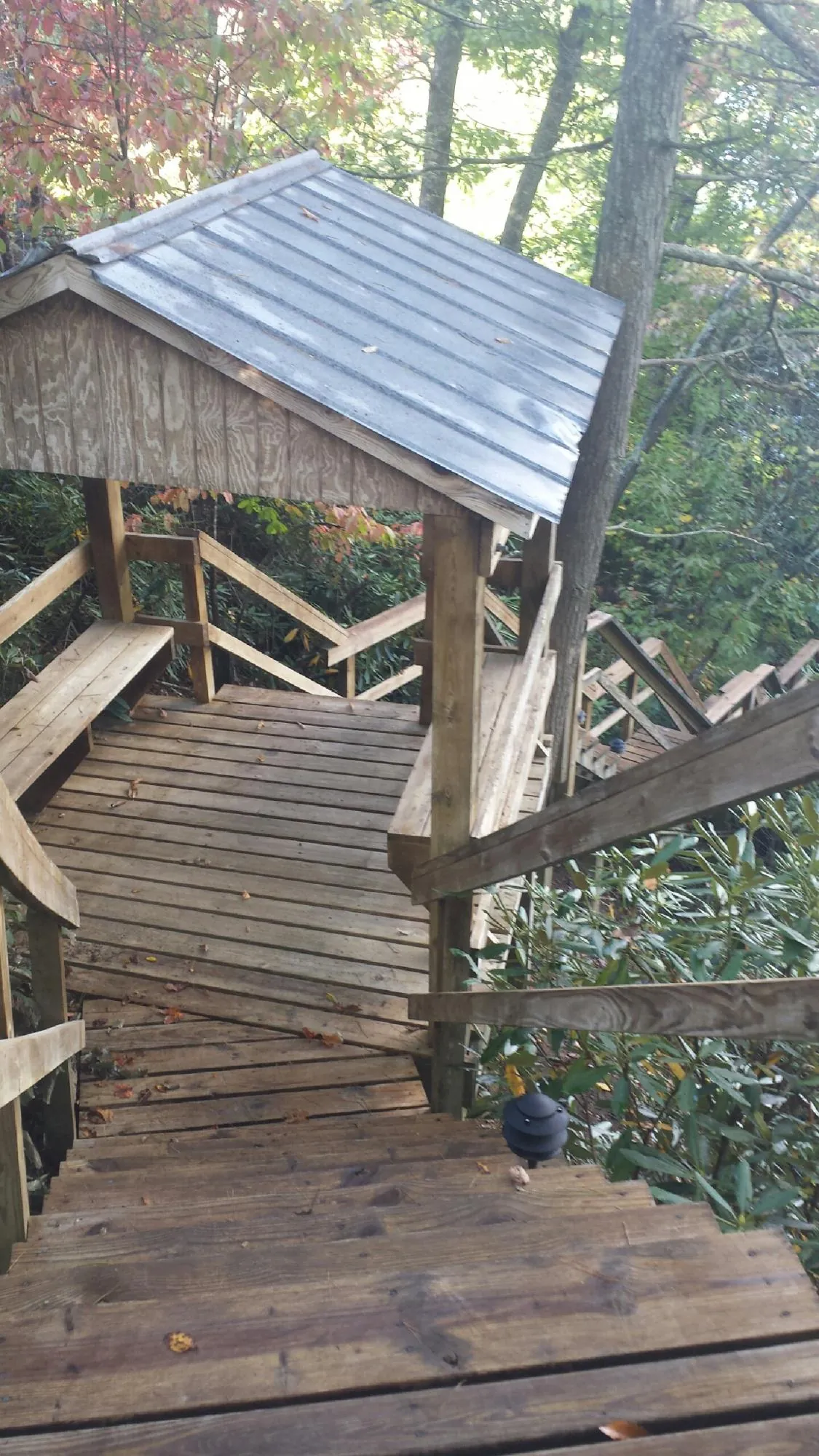 Metal roofed shelter over wooden steps on a wooded walkway — Skylight Repair & Installation work by our crew in Ravena
